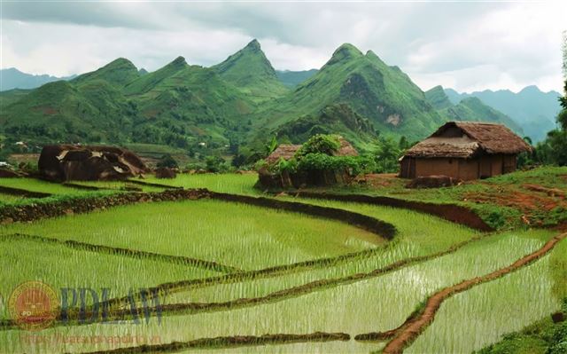 Luật Đất đai 2024: 11 hành vi bị nghiêm cấm trong lĩnh vực đất đai