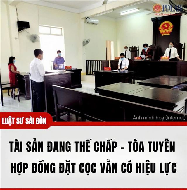 🛑⚖️ TOÀ TUYÊN ÁN [Số 04 - Ngày 30/01/2026 -BL của trang]