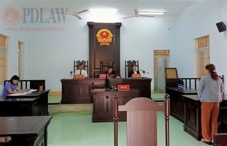 Án lệ số 54/2022/AL về xác định quyền nuôi con dưới 36 tháng tuổi trong trường hợp người mẹ không trực tiếp chăm sóc, nuôi dưỡng, giáo dục con