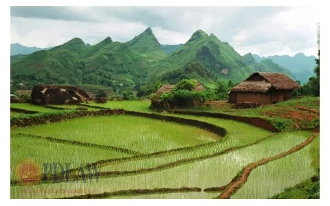 Luật Đất đai 2024: 11 hành vi bị nghiêm cấm trong lĩnh vực đất đai