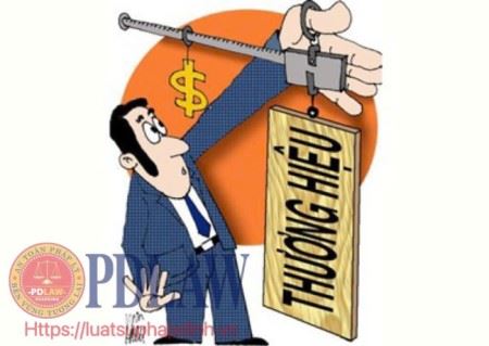 Các quy định về Văn bằng bảo hộ (VBBH)